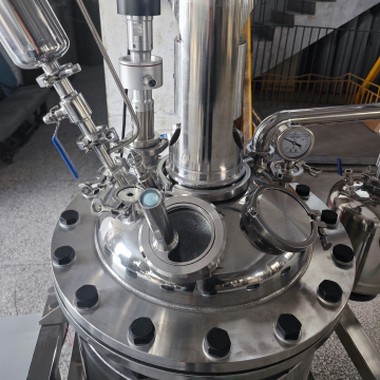 Visokotlačni reaktor od nehrđajućeg čelika od 10 bara