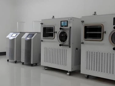 Homemade Freeze Dryer | Shaanxi Achieve chem-tech Homemade Freeze Dryer | Shaanxi Achieve chem-tech